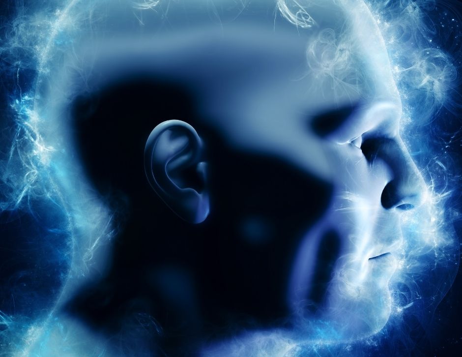 neurogastronomia