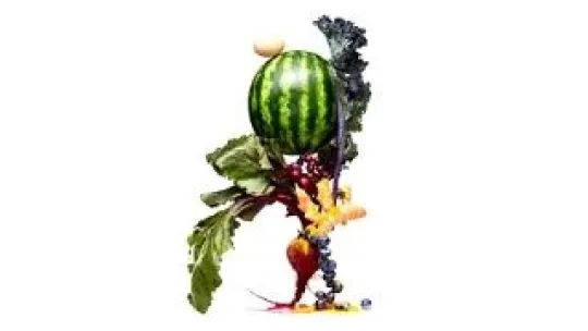 BLOG - ORGANIC FOOD