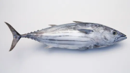 ATUN