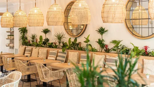 estilo tropical