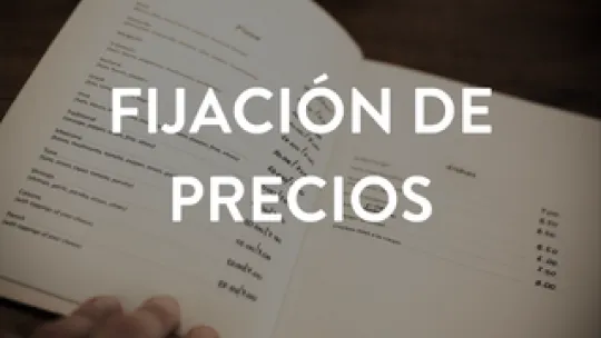 fijación