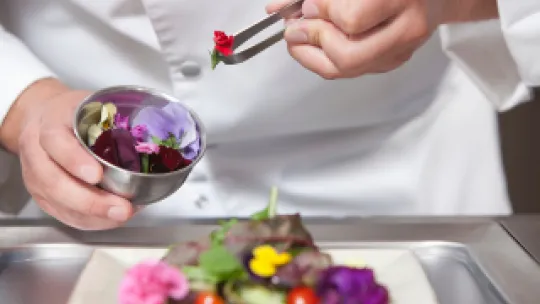 flores comestibles