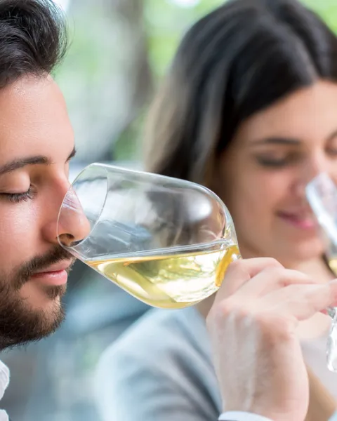 curso cata vinos barcelona hero