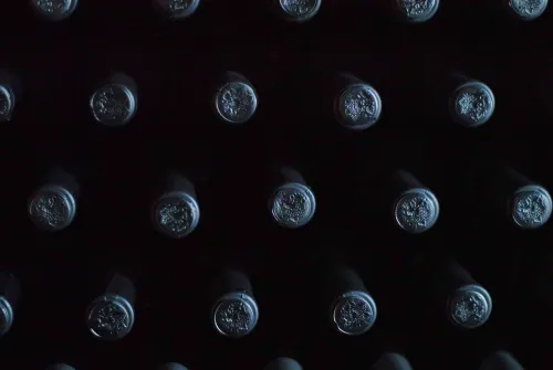 Vinos