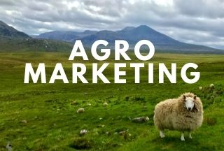 ¿Qué es el agromarketing? ¿Cómo aplicarlo? | BCH