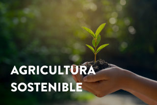 AGRICULTURA SOSTENIBLE: LA LUCHA CONTRA EL CAMBIO CLIMÁTICO | Barcelona ...