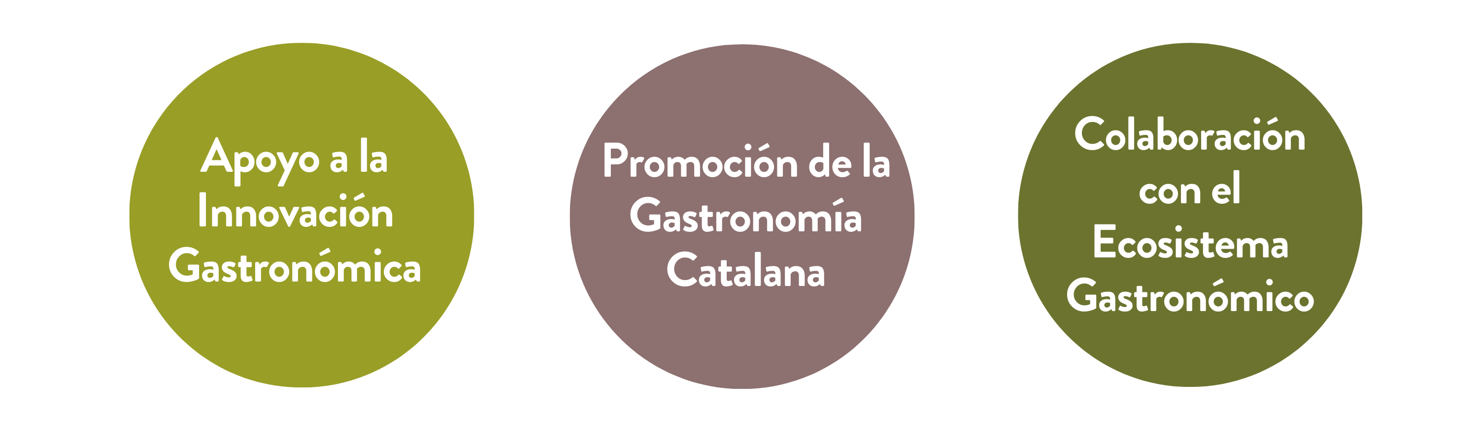 cabecera regio (1).png