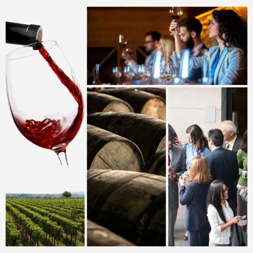 master-gestion-vino