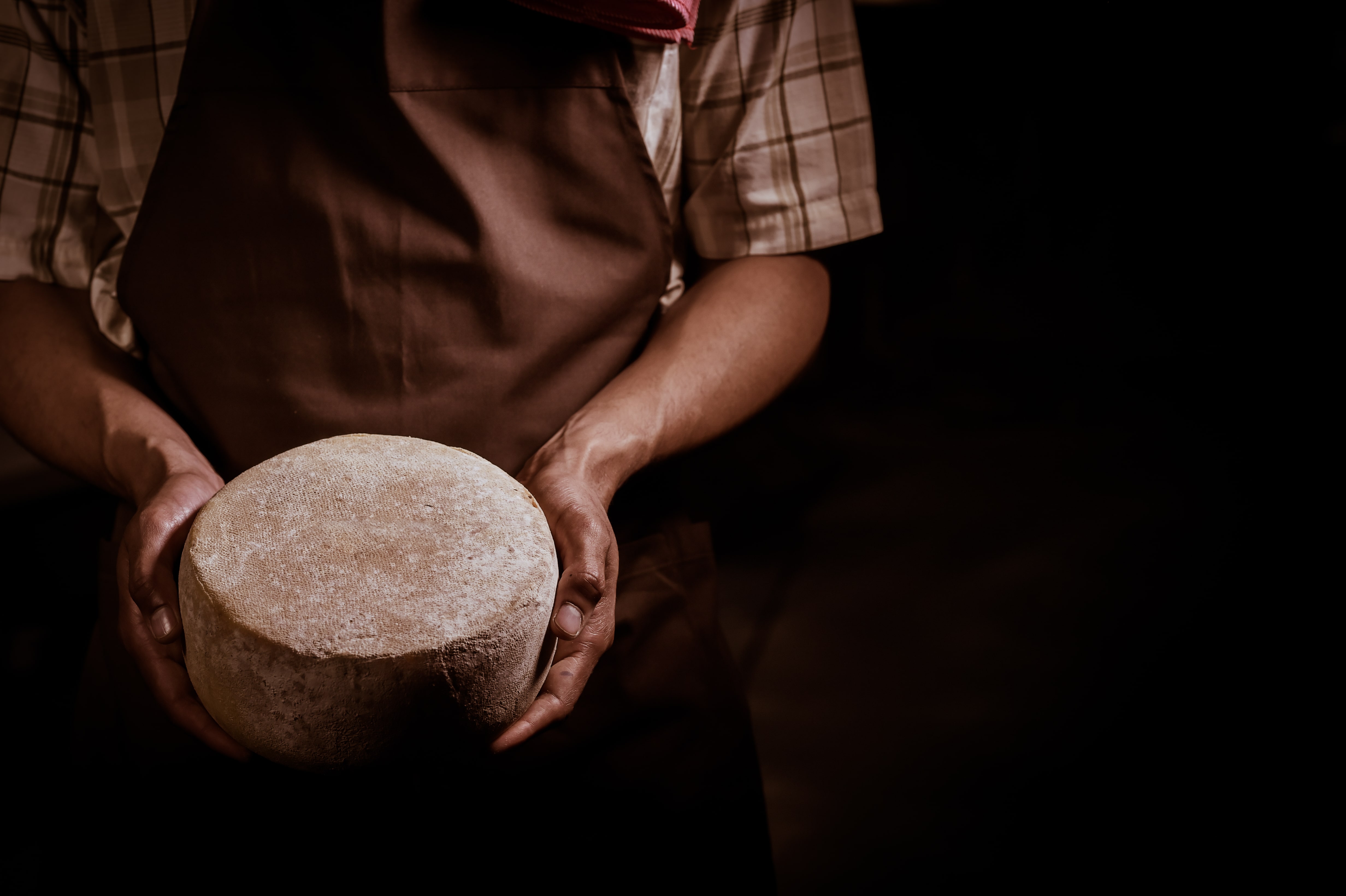 Propiedades del queso