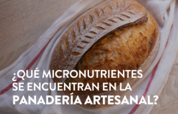 micronutrientes