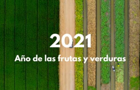 Blog: 2021 año fruta y verdura