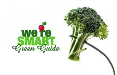 Blog: We're smart green