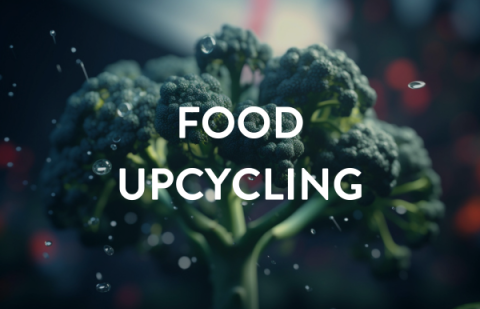 food-upcycling