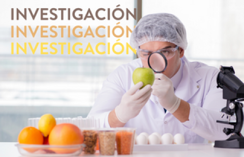 investigación