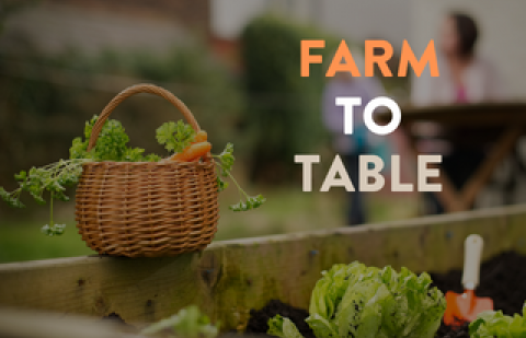 farm