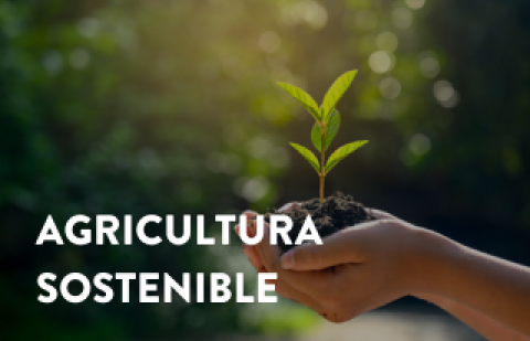 agriculuta_sostenible