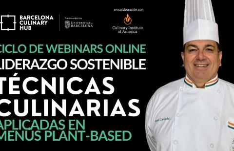 foto webinar 4 vincent