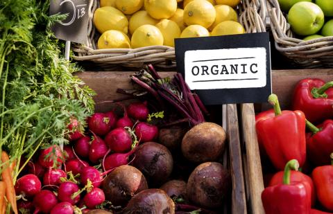 alimentación-ecológica