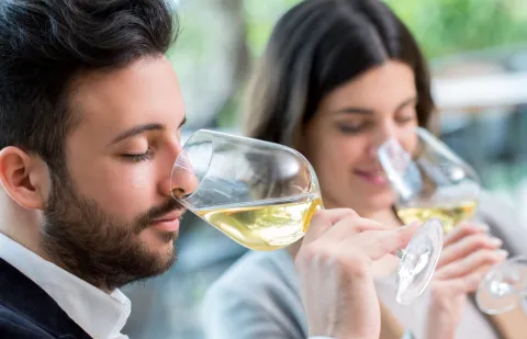 curso cata vinos barcelona hero