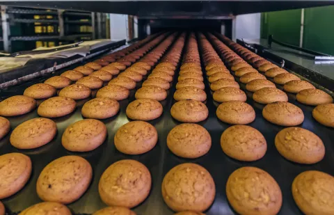 Desarrollo de nuevos productos alimenticios