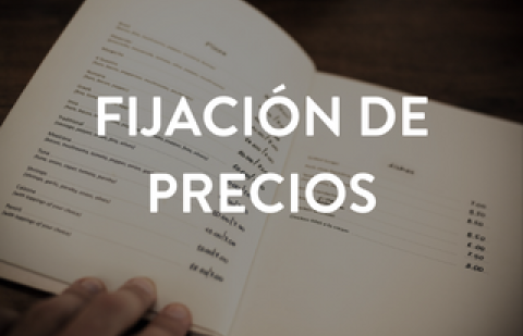 fijación