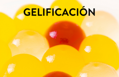 gelificacion