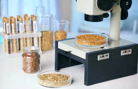 ingenieria-alimentos ingenieria-alimentos