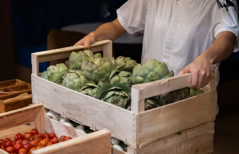 innovacion-sostenible