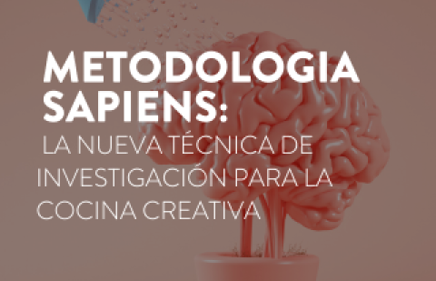 metodologia sapiens