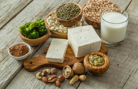 proteina-vegetal
