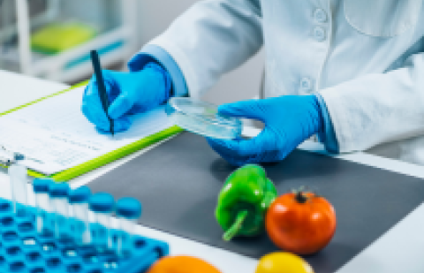 microbiología alimentaria