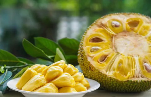 que-es-jackfruit