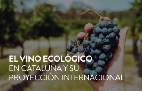 vino ecologico