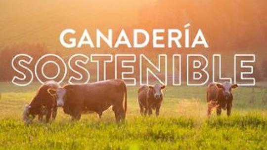 Ganaderia sostenible