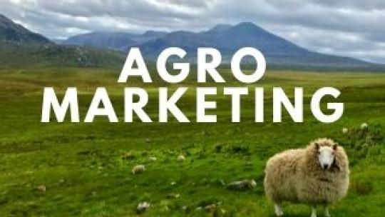 BLOG; AgroMarketing - JUN 21