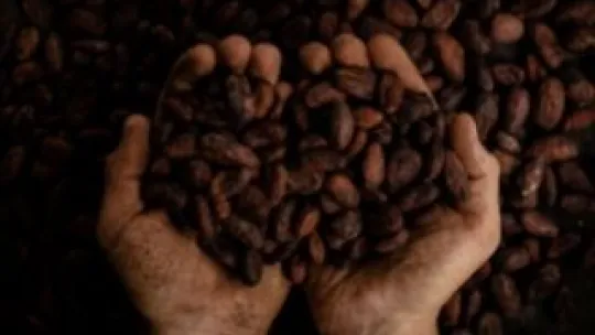 Cacao