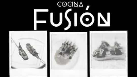 Cocina Fusión