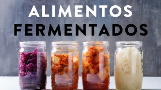 FERMENTADOS