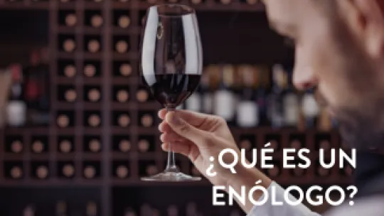 enologo1