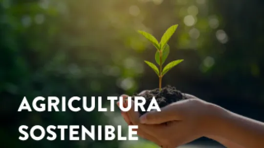 agriculuta_sostenible