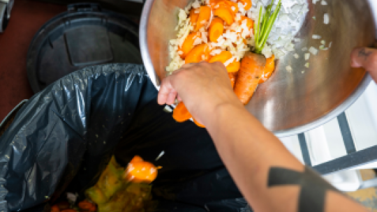 desperdicio alimentario