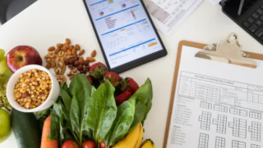 necesidades nutricionales