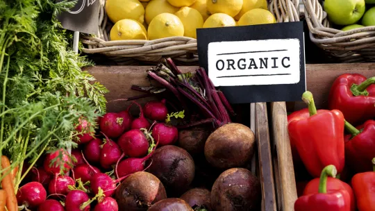 alimentación-ecológica