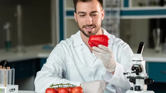 biotecnologia-alimentaria