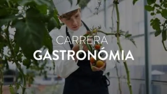 BLOG;CARRERA GASTRONOMIA