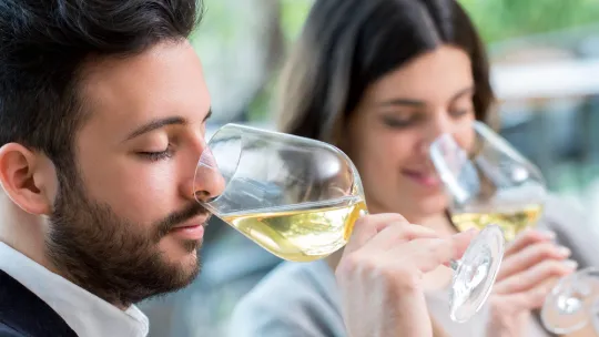 curso cata vinos barcelona hero