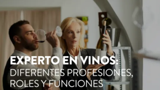 experto_en_vinos