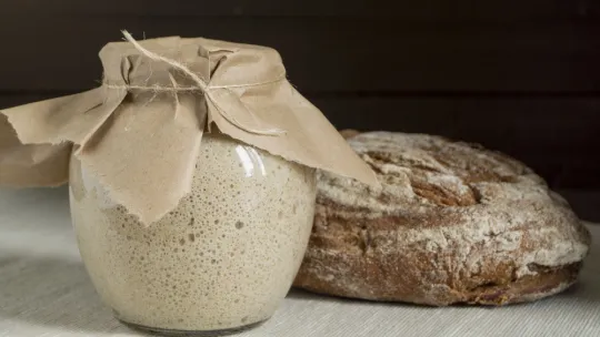 fermentación-del-pan