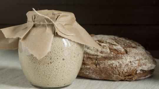 fermentación-del-pan
