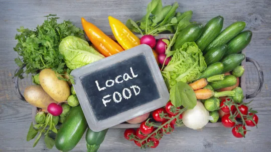 gastronomia-circular